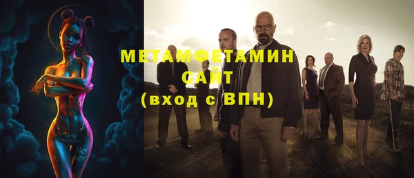хмурый Алексин