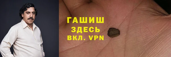 хмурый Алексин