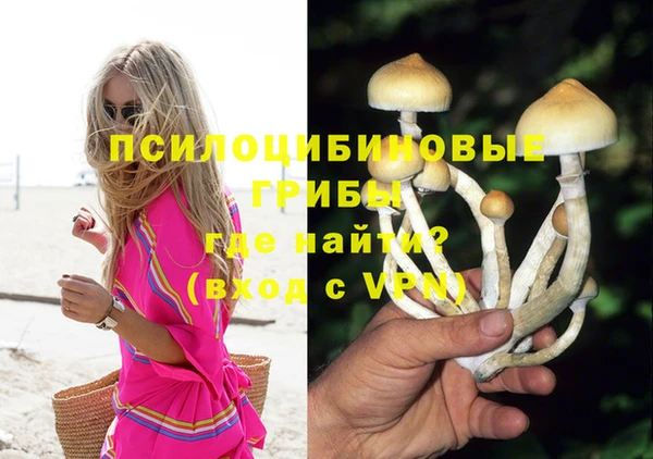 спайс Алексеевка