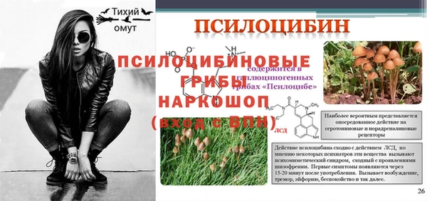 хмурый Алексин