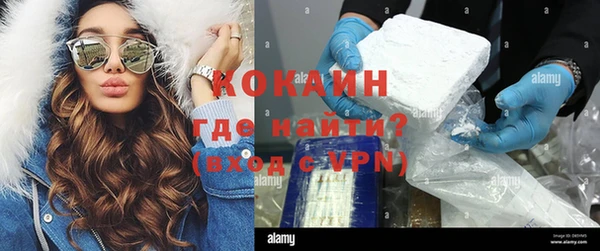 хмурый Алексин