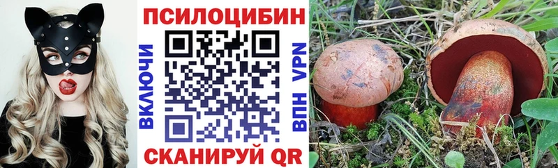 Псилоцибиновые грибы мухоморы  ссылка на мегу ССЫЛКА  дарк нет как зайти  цены наркотик  Орлов 